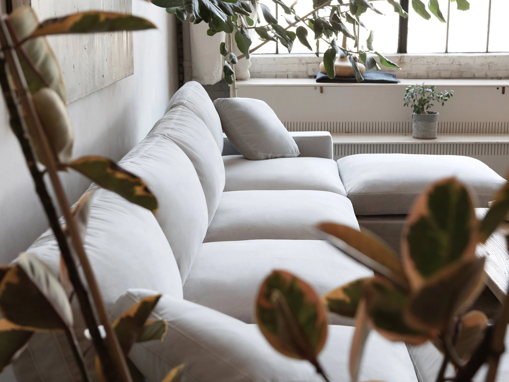 3-2 Sofa Set - Image 202